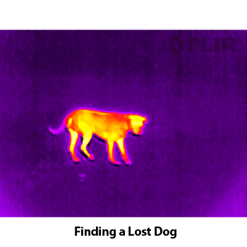 Thermal image of a lost dog.